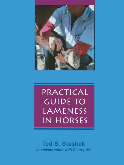 Practical Guide to Lameness in Horses, PDF eBook