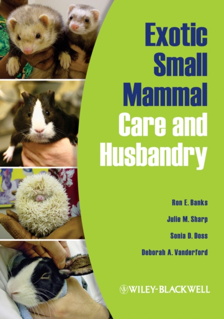 Exotic Small Mammal Care and Husbandry, EPUB eBook