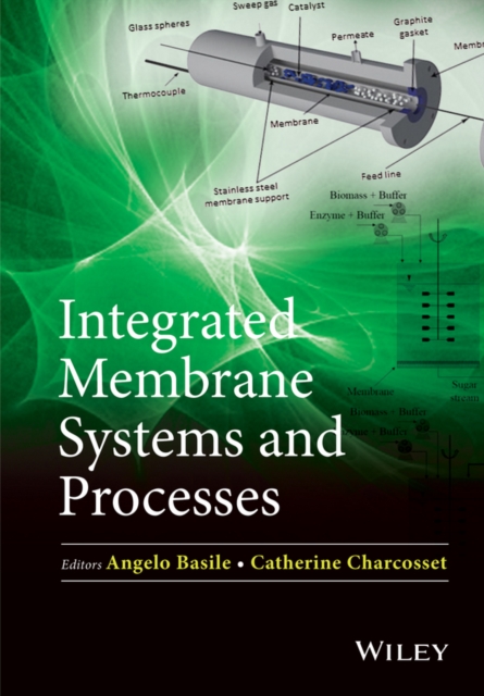 Integrated Membrane Systems and Processes, PDF eBook