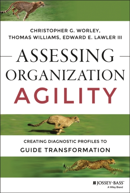 Assessing Organization Agility : Creating Diagnostic Profiles to Guide Transformation, EPUB eBook
