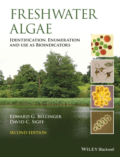 Freshwater Algae : Identification, Enumeration and Use as Bioindicators, Hardback Book