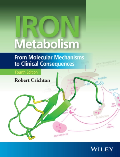 Iron Metabolism : From Molecular Mechanisms to Clinical Consequences, PDF eBook