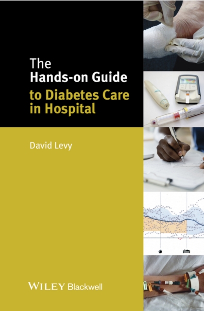 The Hands-on Guide to Diabetes Care in Hospital, EPUB eBook