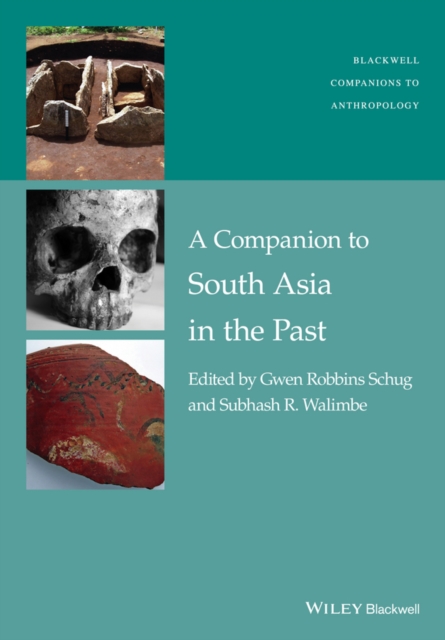 A Companion to South Asia in the Past, PDF eBook