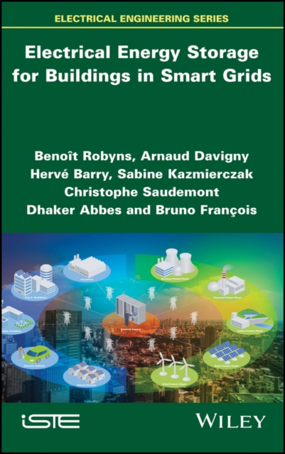 Electrical Energy Storage for Buildings in Smart Grids, EPUB eBook