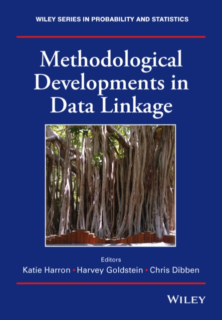 Methodological Developments in Data Linkage, EPUB eBook