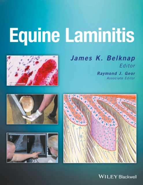 Equine Laminitis, PDF eBook