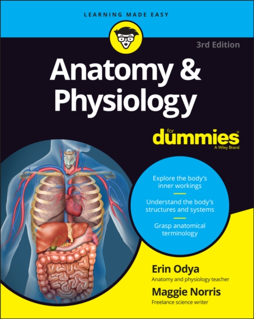 Anatomy & Physiology For Dummies, Paperback / softback Book