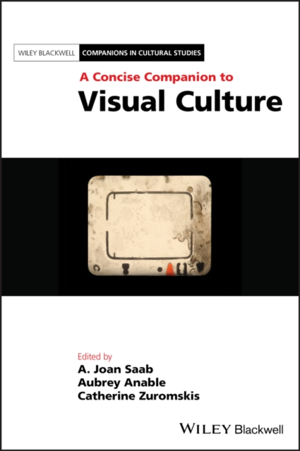 A Concise Companion to Visual Culture, Paperback / softback Book