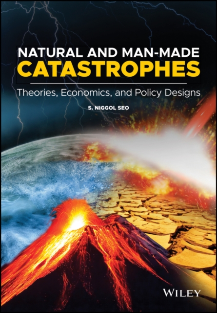Natural and Man-Made Catastrophes : Theories, Economics, and Policy Designs, Hardback Book