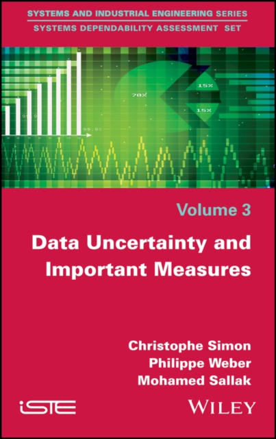 Data Uncertainty and Important Measures, EPUB eBook