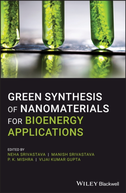 Green Synthesis of Nanomaterials for Bioenergy Applications, EPUB eBook