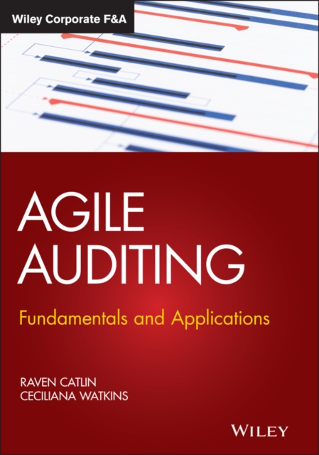 Agile Auditing : Fundamentals and Applications, Hardback Book