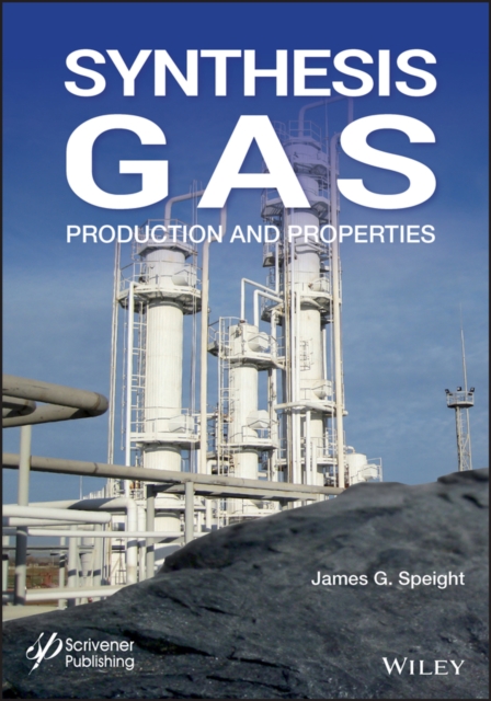 Synthesis Gas : Production and Properties, PDF eBook