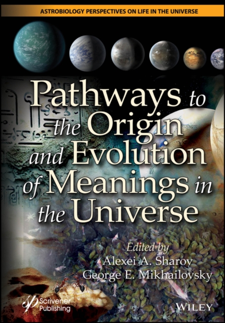 Pathways to the Origin and Evolution of Meanings in the Universe, EPUB eBook