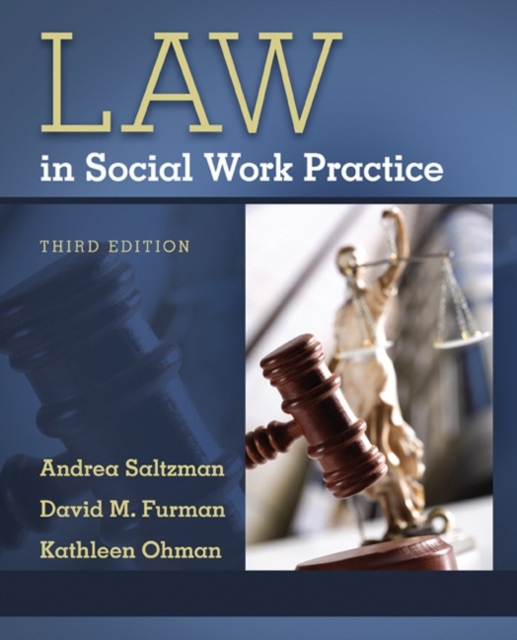 Law in Social Work Practice, Paperback / softback Book