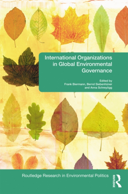 International Organizations in Global Environmental Governance, EPUB eBook