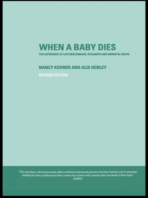 When A Baby Dies : The Experience of Late Miscarriage, Stillbirth and Neonatal Death, PDF eBook