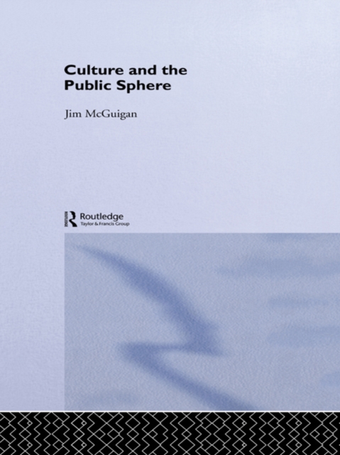 Culture and the Public Sphere, PDF eBook
