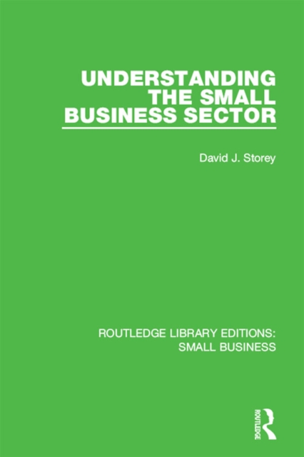 Understanding The Small Business Sector, EPUB eBook