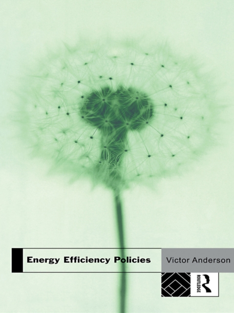 Energy Efficiency Policies, EPUB eBook