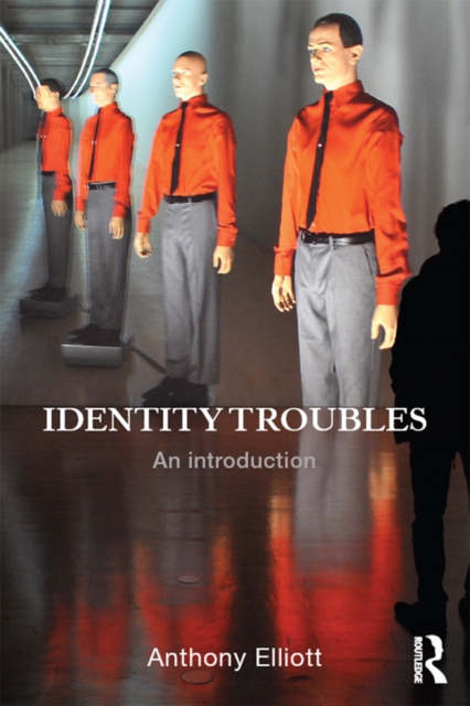 Identity Troubles : An introduction, PDF eBook