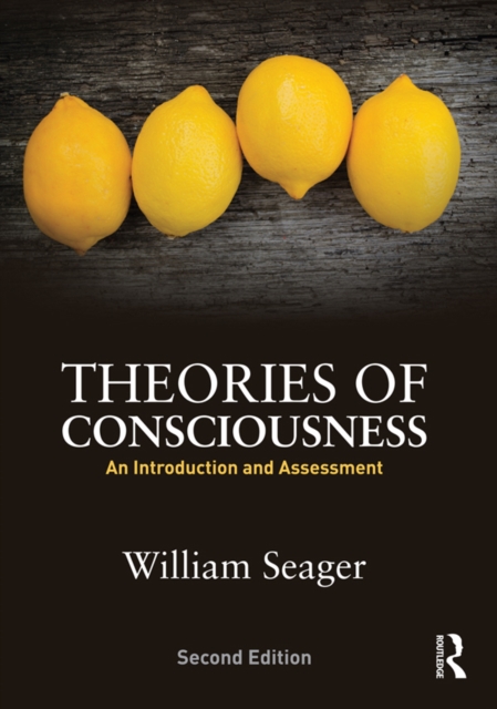 Theories of Consciousness : An Introduction and Assessment, PDF eBook