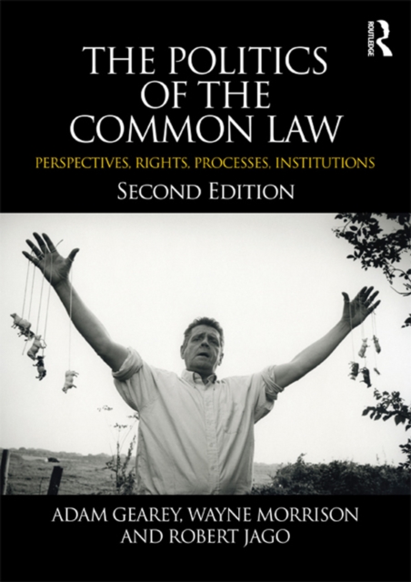 The Politics of the Common Law : Perspectives, Rights, Processes, Institutions, EPUB eBook