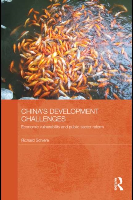 China's Development Challenges : Economic Vulnerability and Public Sector Reform, EPUB eBook