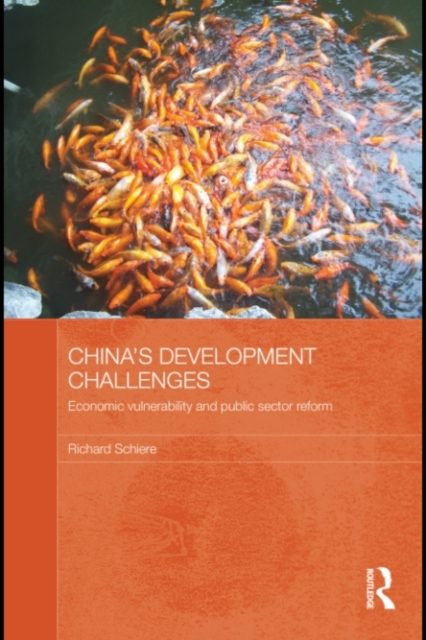 China's Development Challenges : Economic Vulnerability and Public Sector Reform, PDF eBook
