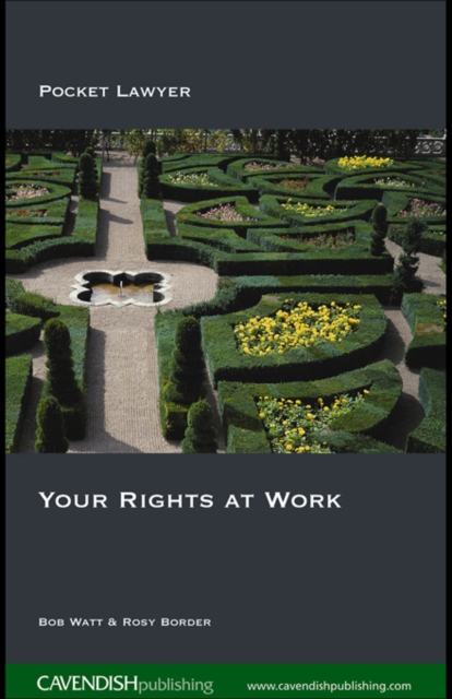 Your Rights at Work, EPUB eBook