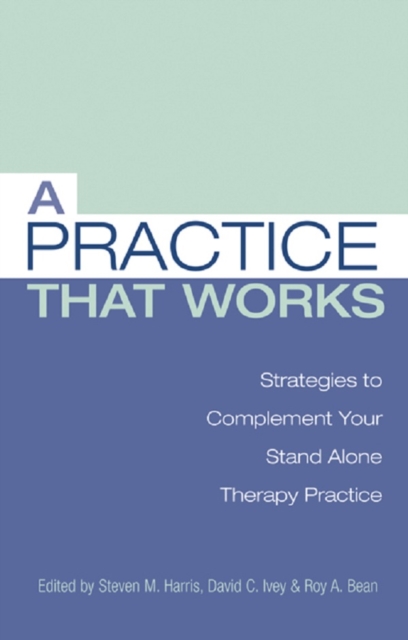 A Practice that Works : Strategies to Complement Your Stand Alone Therapy Practice, EPUB eBook