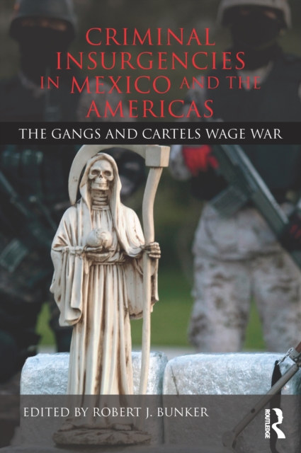 Criminal Insurgencies in Mexico and the Americas : The Gangs and Cartels Wage War, PDF eBook
