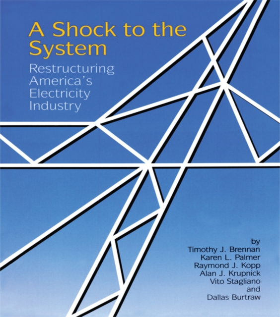 A Shock to the System : Restructuring America's Electricity Industry, EPUB eBook