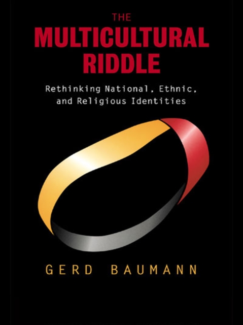 The Multicultural Riddle : Rethinking National, Ethnic and Religious Identities, PDF eBook