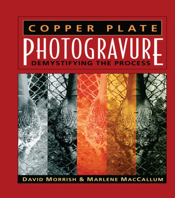 Copper Plate Photogravure : Demystifying the Process, EPUB eBook