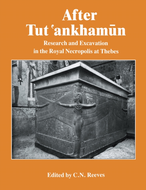 After Tutankhamun, EPUB eBook