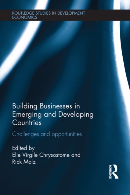 Building Businesses in Emerging and Developing Countries : Challenges and Opportunities, PDF eBook