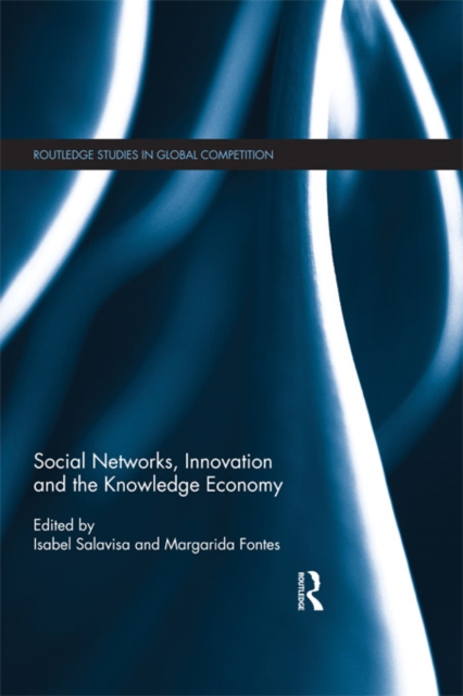 Social Networks, Innovation and the Knowledge Economy, PDF eBook