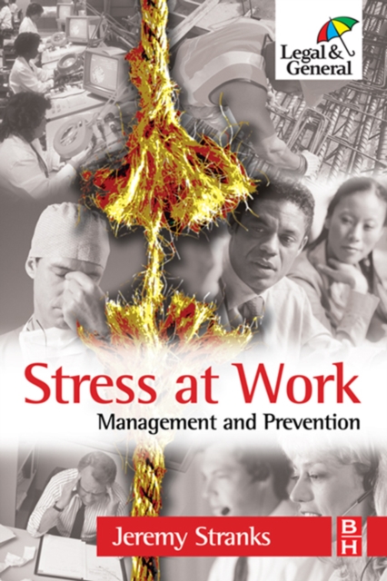 Stress at Work, EPUB eBook