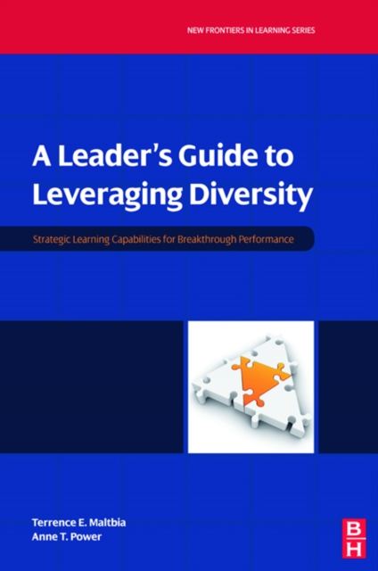 A Leader's Guide to Leveraging Diversity, EPUB eBook