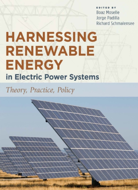 Harnessing Renewable Energy in Electric Power Systems : Theory, Practice, Policy, EPUB eBook