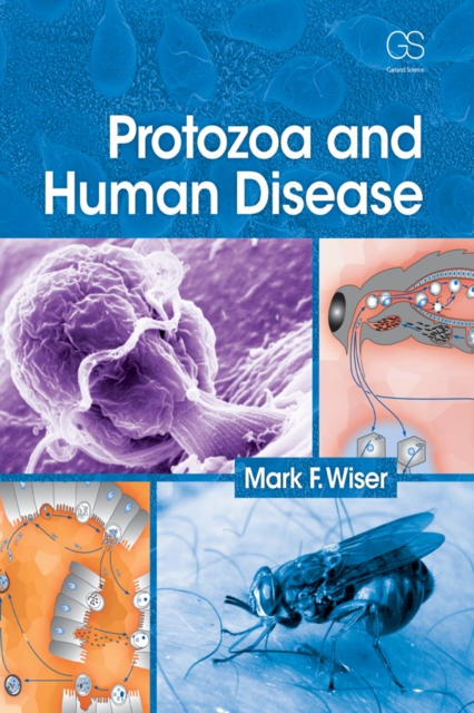 Protozoa and Human Disease, PDF eBook