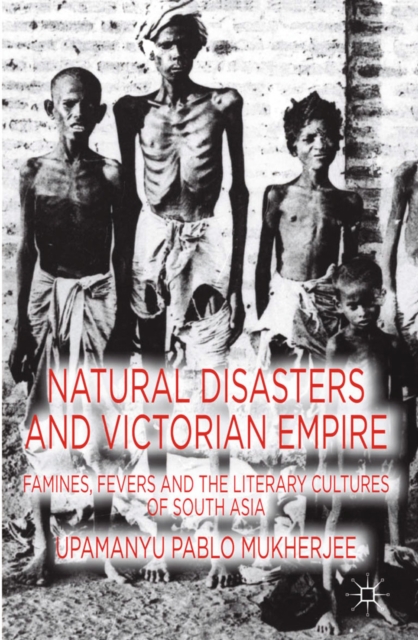 Natural Disasters and Victorian Empire : Famines, Fevers and the Literary Cultures of South Asia, PDF eBook