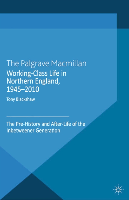 Working-Class Life in Northern England, 1945-2010 : The Pre-History and After-Life of the Inbetweener Generation, PDF eBook