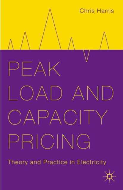 Peak Load and Capacity Pricing : Theory and Practice in Electricity, PDF eBook