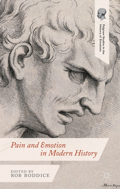 Pain and Emotion in Modern History, PDF eBook