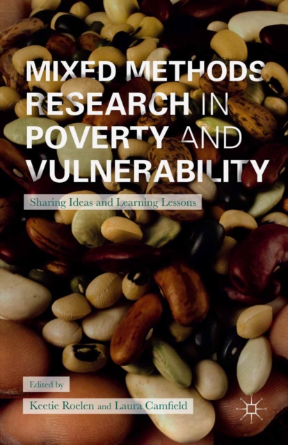 Mixed Methods Research in Poverty and Vulnerability : Sharing Ideas and Learning Lessons, PDF eBook