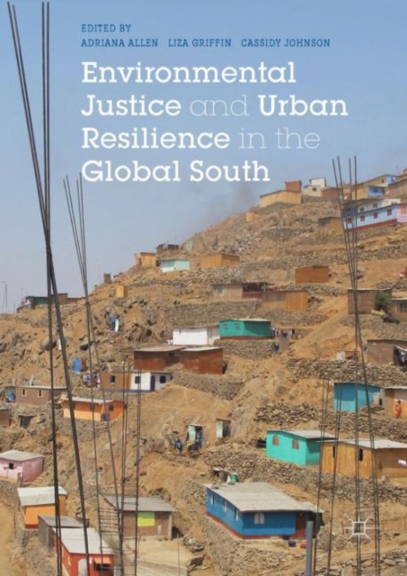 Environmental Justice and Urban Resilience in the Global South, EPUB eBook