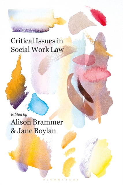 Critical Issues in Social Work Law, EPUB eBook
